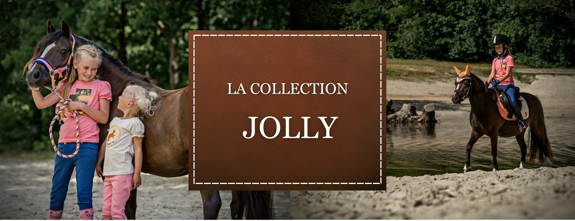 Collection Jolly sellerie CPNB1